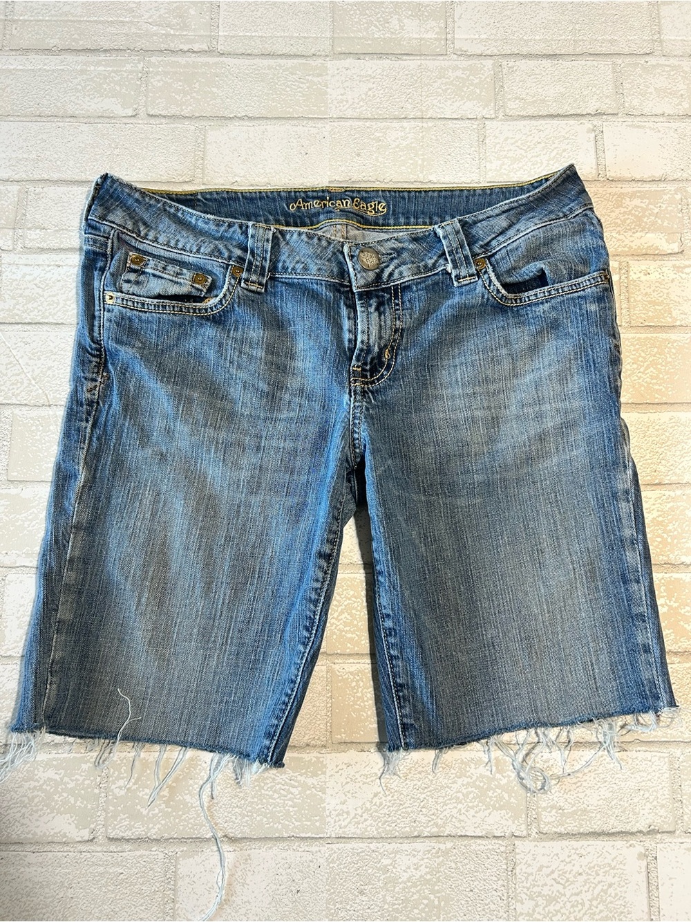 American Eagle Outfitters Blue Denim Jean Shorts